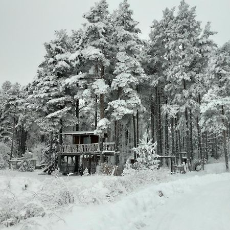 Elulong Camping Lohusuu Exterior foto