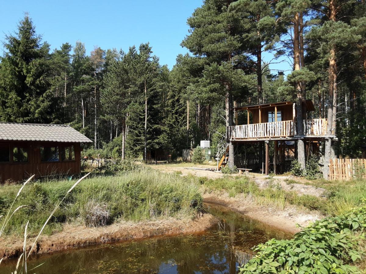 Elulong Camping Lohusuu Exterior foto