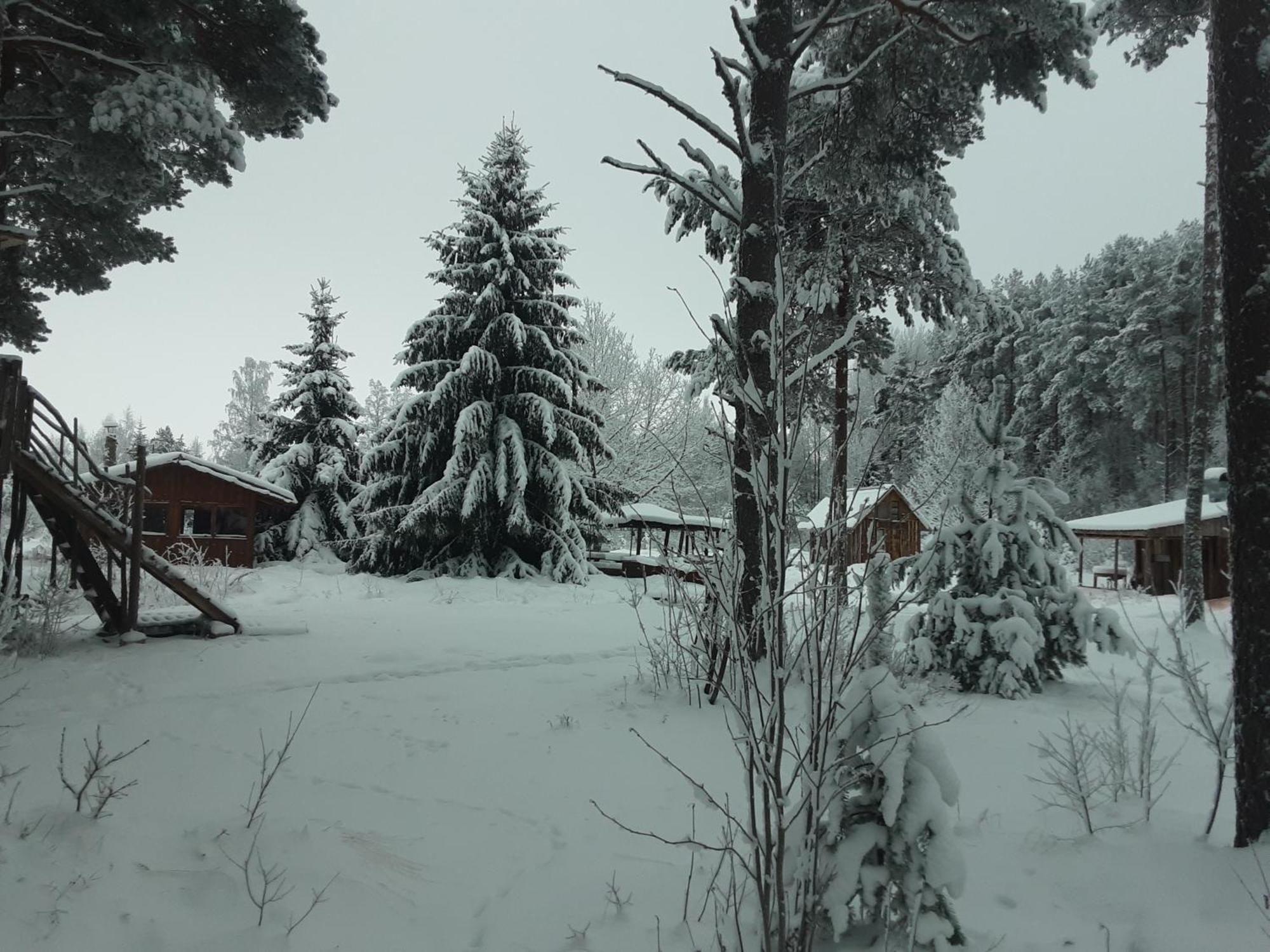 Elulong Camping Lohusuu Exterior foto