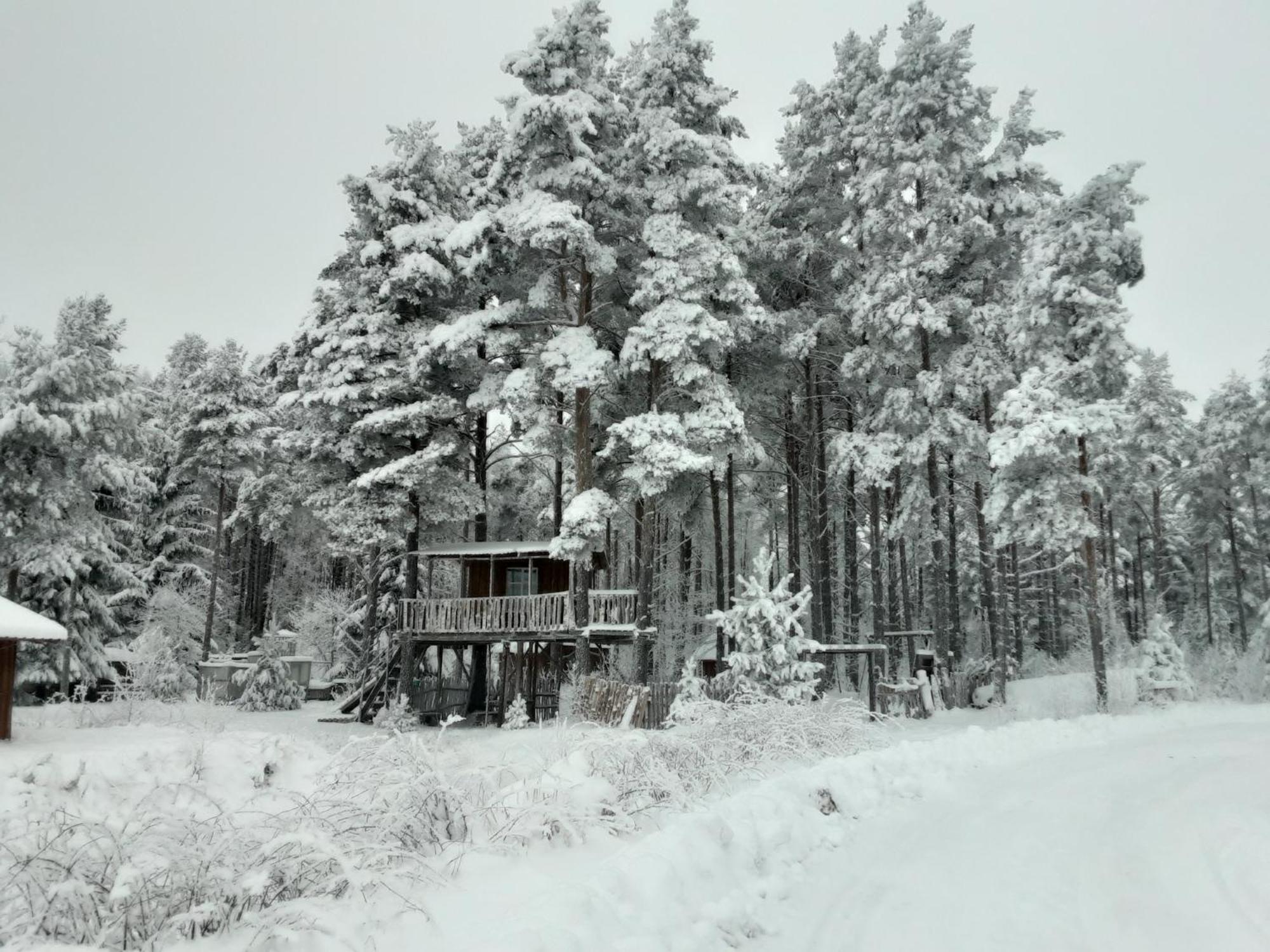 Elulong Camping Lohusuu Exterior foto