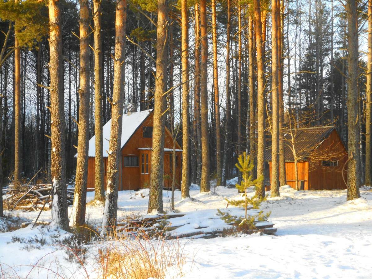 Elulong Camping Lohusuu Exterior foto
